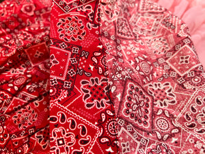 Bernie Dexter zip front dress in Red Bandana Size 4X